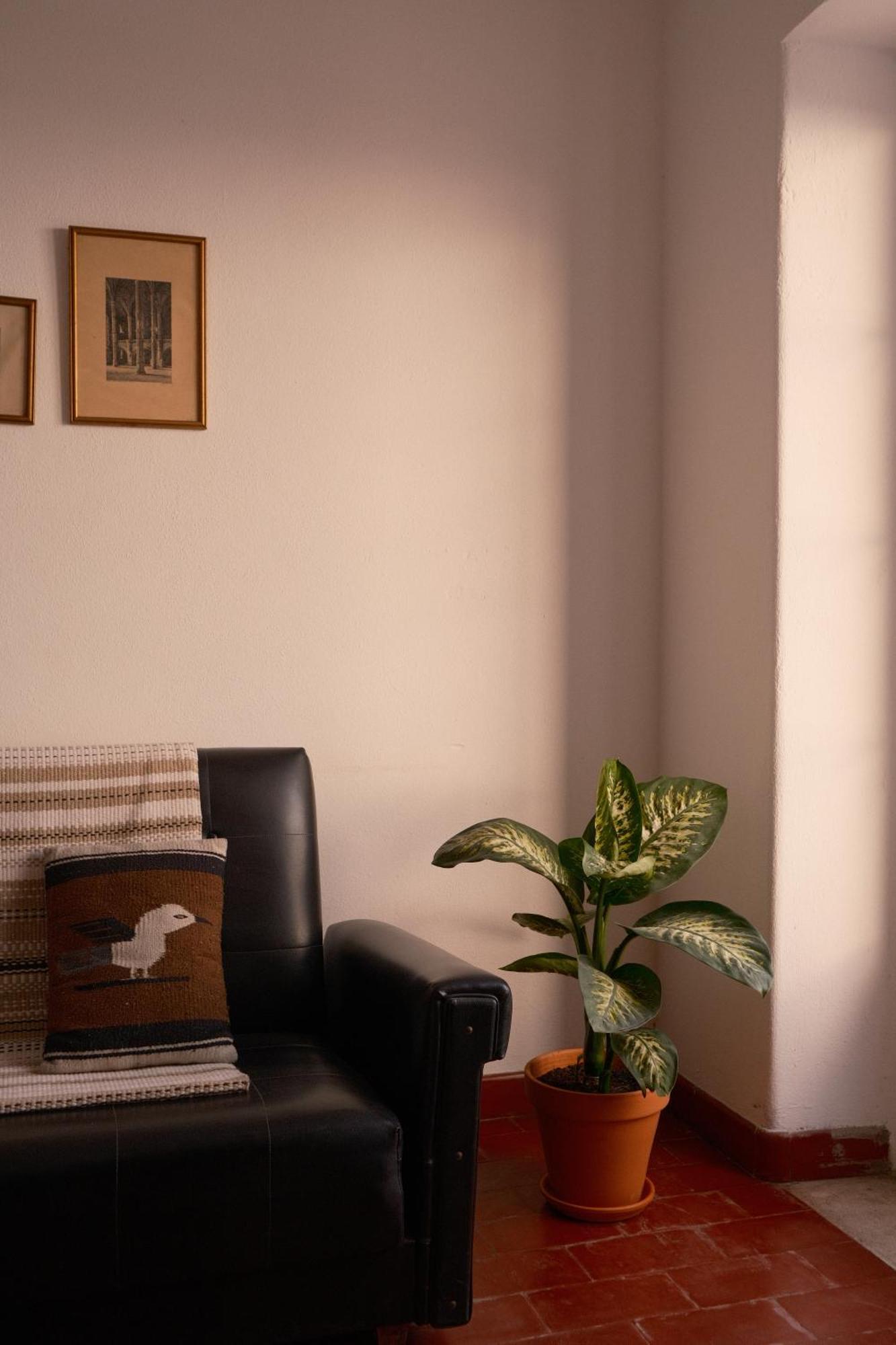 Manas Coliving Apartment Sines Bagian luar foto